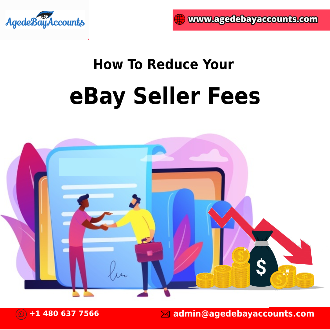 eBay Seller's Account