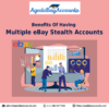 Benefits Of Having Multiple eBay Stealth Accounts