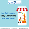 How To Overcome eBay Limitations As A New Seller?