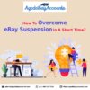 how to over come eBay suspension