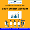 best eBay stealth account