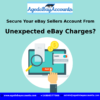 Secure Your eBay Sellers Account From Unexpected eBay Charges.