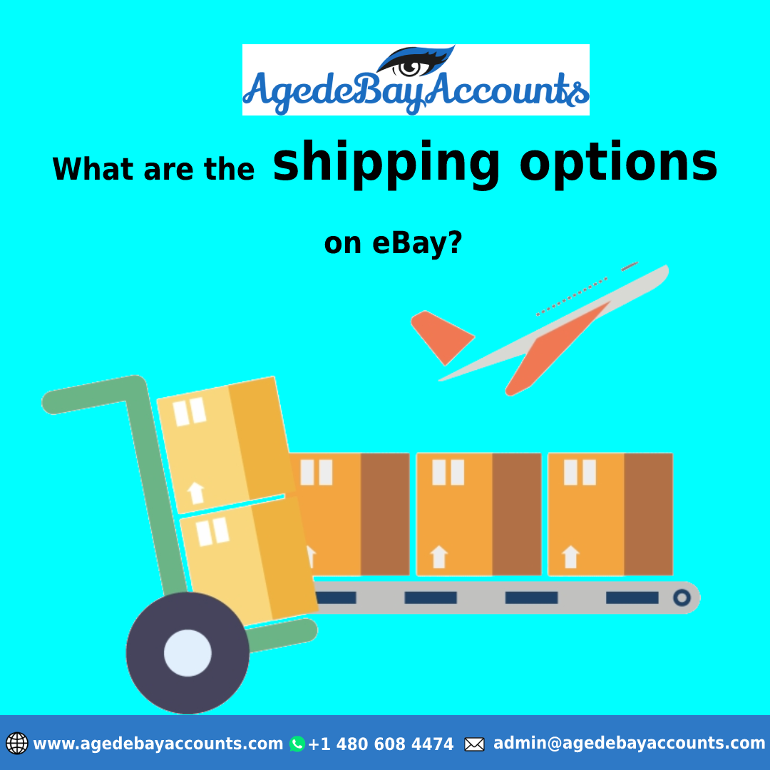 ebay shipping options