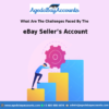 eBay Seller’s Account