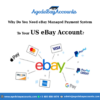 buy ebay managed payment account
