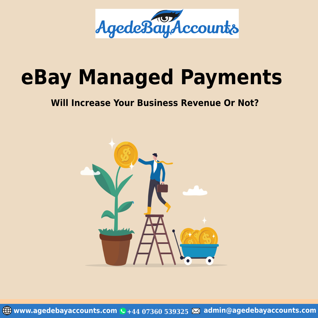 ebay managed payment account