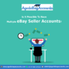 Multiple eBay Sellers Accounts