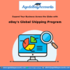 eBay's Global Shipping Program