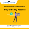 Why Dropshipping Buy Old eBay Account