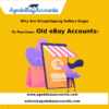 Why Dropshippers Buy Old eBay Account