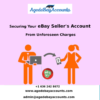 Securing Your eBay Seller's Account