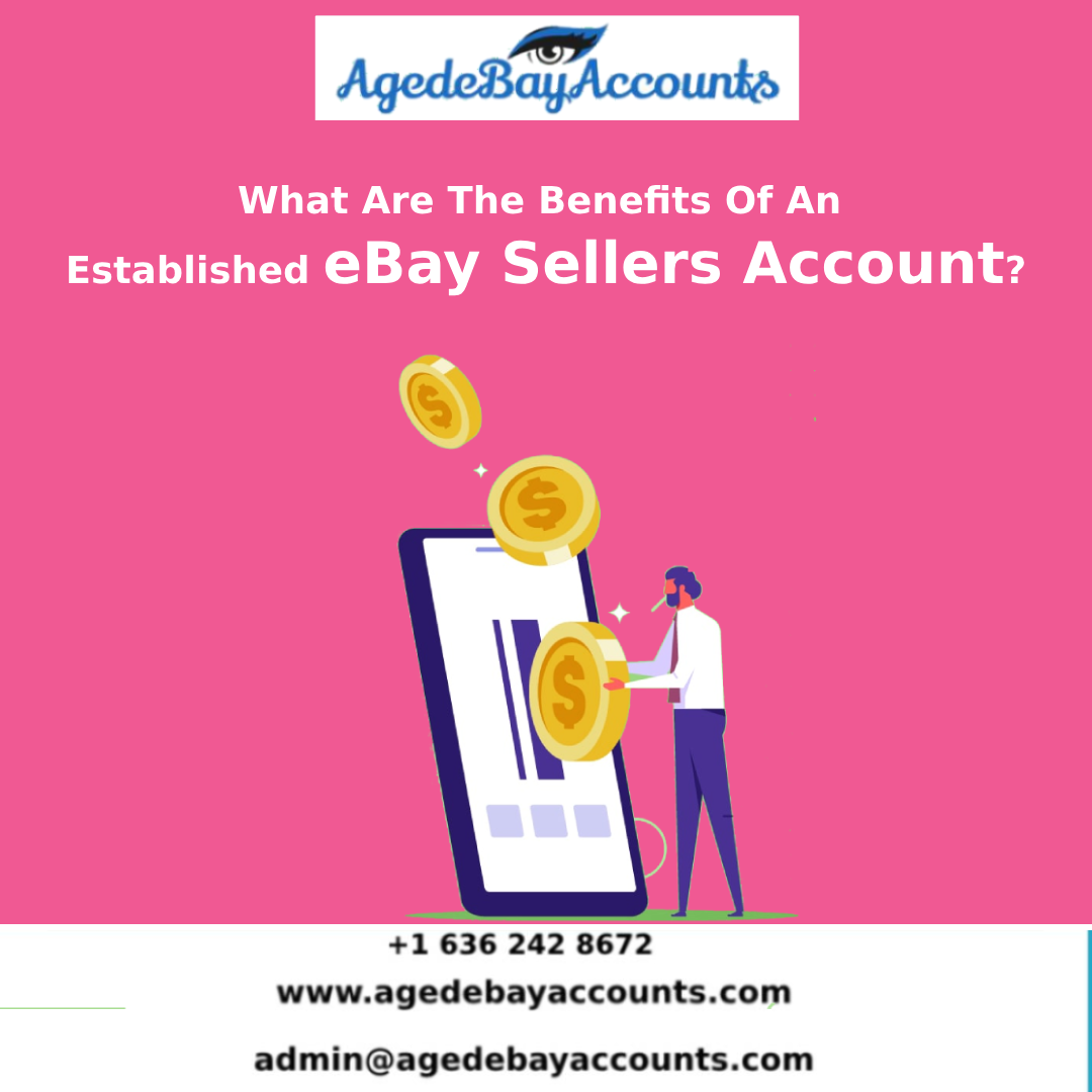Established eBay Sellers Account