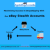 eBay Stealth Account